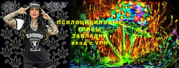 дурь Алексеевка
