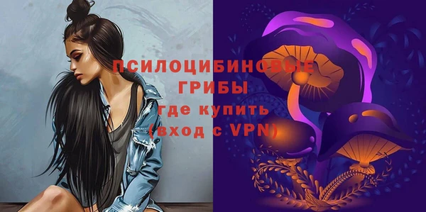 меф Алексин