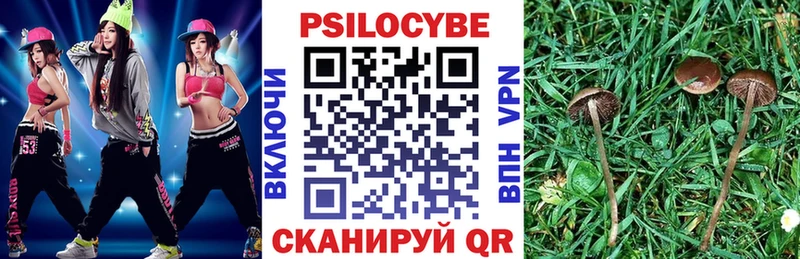 сколько стоит Электрогорск Псилоцибиновые грибы Psilocybe