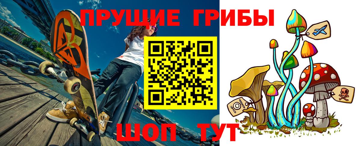 Псилоцибиновые грибы MAGIC MUSHROOMS  Вход с VPN  Галлюциногенные грибы Magic Shrooms  Электрогорск 