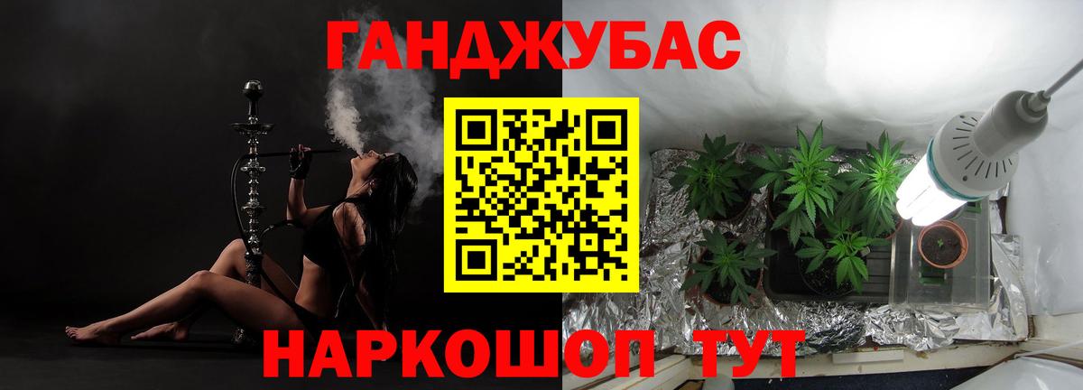 Бошки марихуана план  Вход с VPN  Конопля индика  Канабис SATIVA & INDICA  Каннабис OG Kush  Электрогорск 